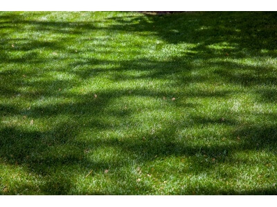 TWCA Water-Wise Shade Mix-5052