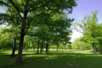 TWCA Water-Wise Shade Mix-5051