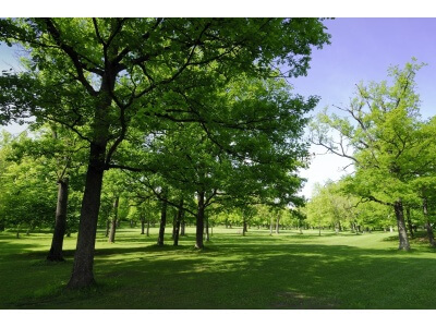 TWCA Water-Wise Shade Mix-5051