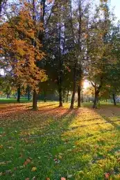 Sun Yard