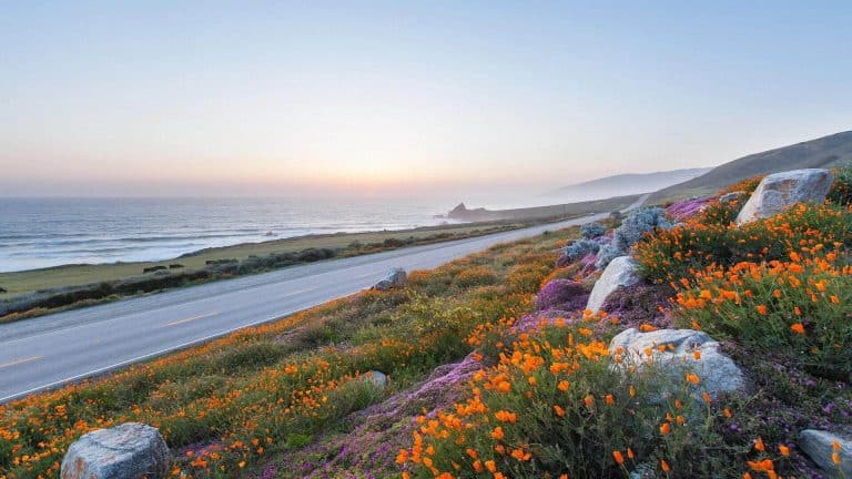 The California Collection