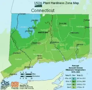 Connecticut Map