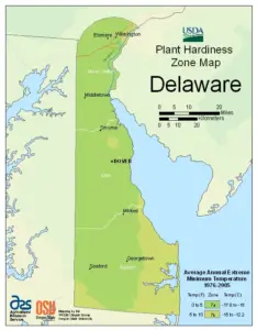 Delaware Zone Map