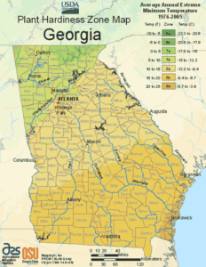 Georgia Region Map