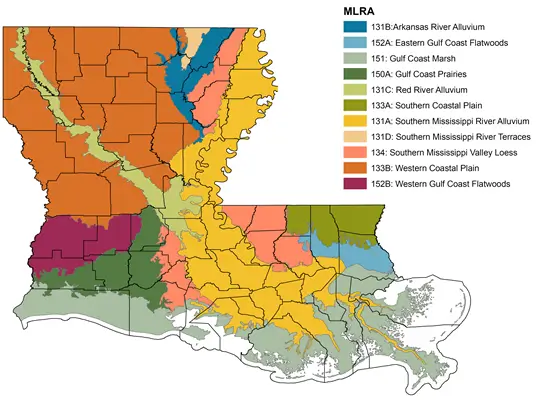 Louisiana Soil Map