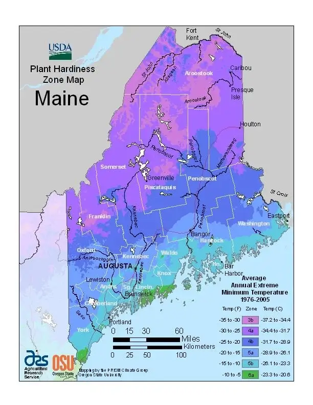 Maine Hardiness Zone