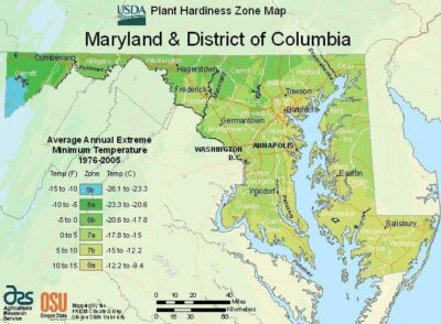 Maryland Hardiness Zone