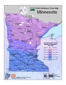 Minnesota Hardiness Map