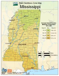 Mississippi Region Zones