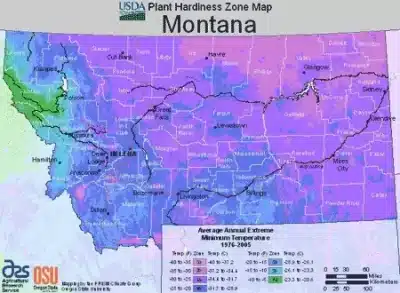 Montana Region Map