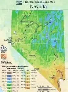 Nevada Grass Zones