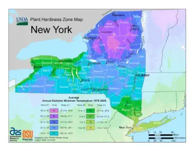 New York Region