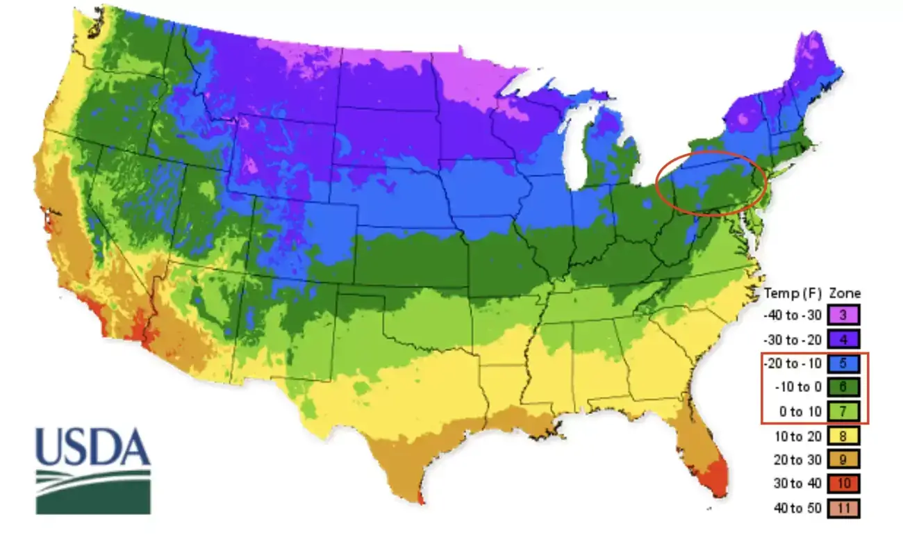 USDA Growing Regions