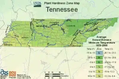 Tennessee Regions