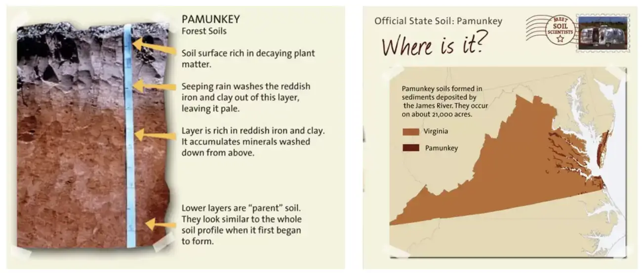 Virginia Soil and Grass