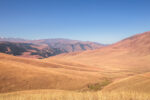 large mountain steppe valley and summer pasture