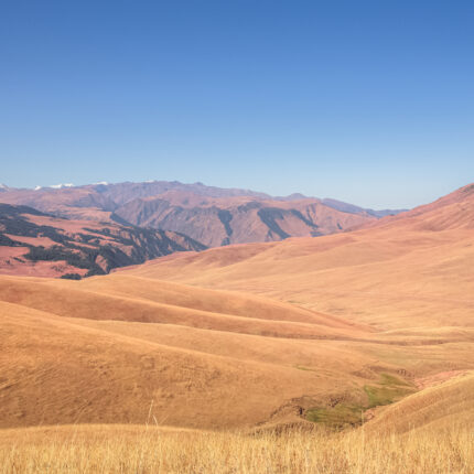 large mountain steppe valley and summer pasture