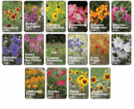 List of flowers that belong to annual wildflower mix