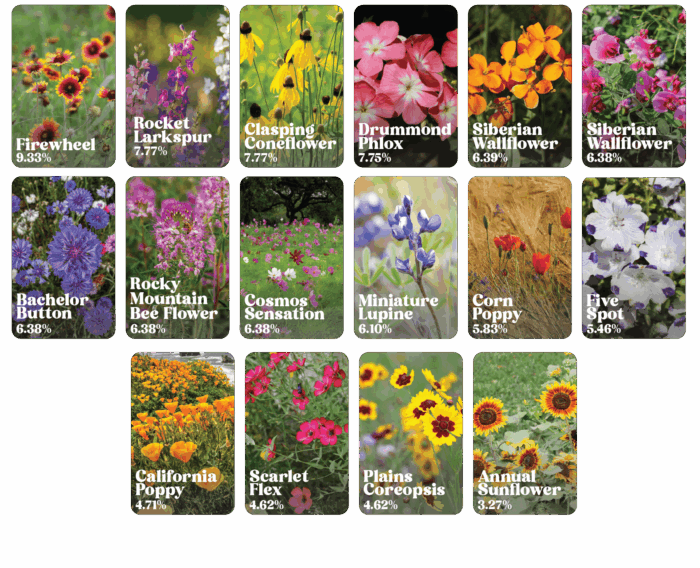 List of flowers that belong to annual wildflower mix