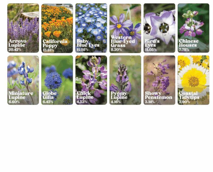 List of flowers that belong to california coastal wildflower mix