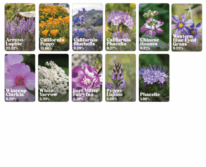 List of flowers that belong to california native wildflower mix