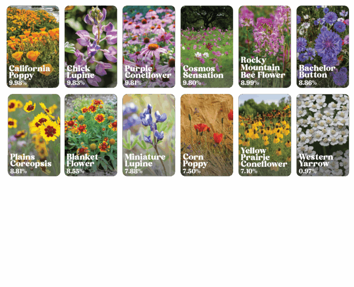 List of flowers that belong to deer resistant wildflower mix