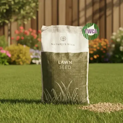 transitional-lawn-nature-s-seed