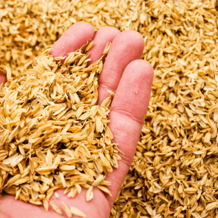 Rice Hulls