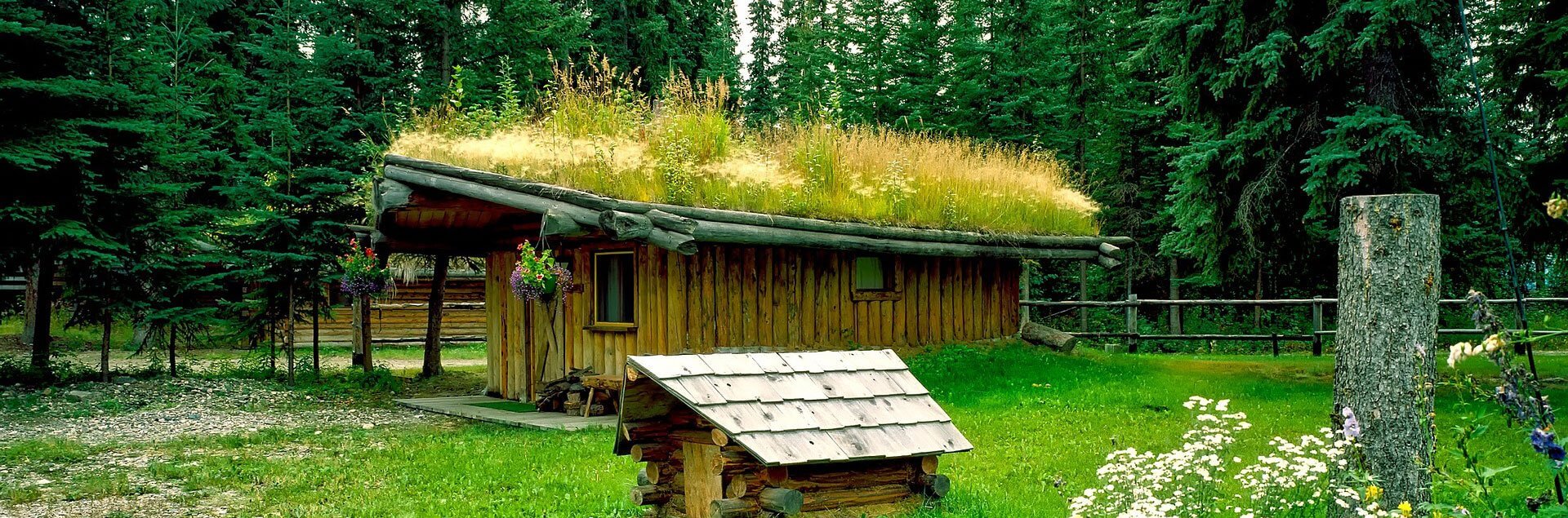 a log cabin with grass on the roof
