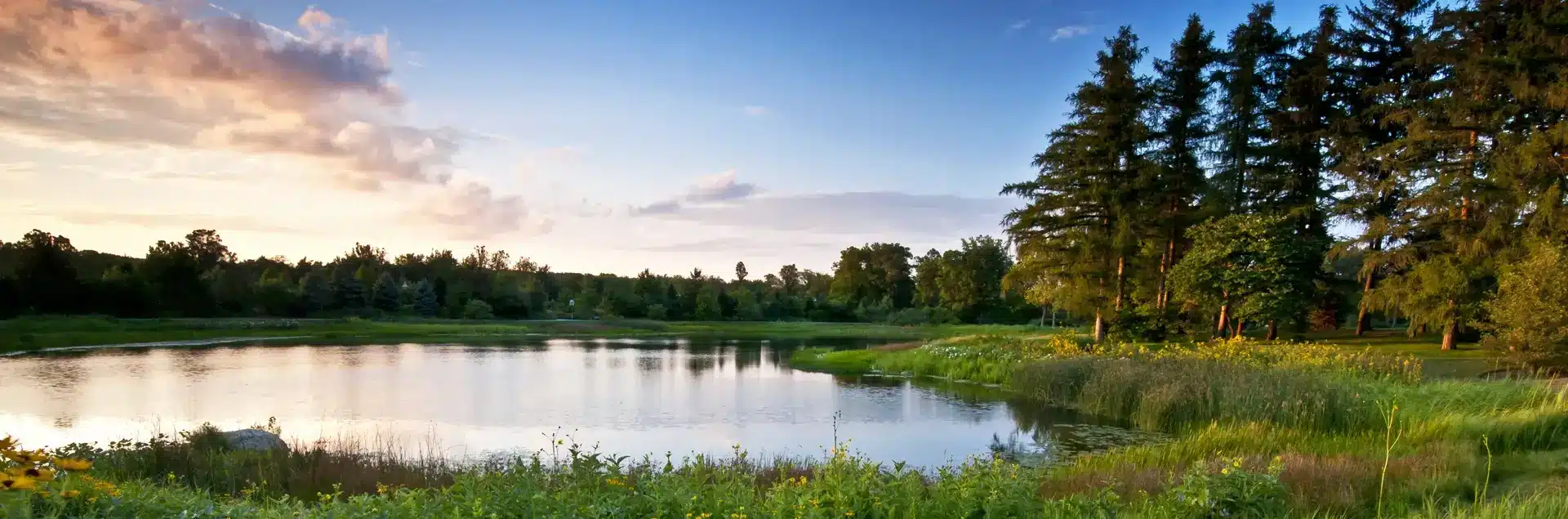 a lake with trees and grass