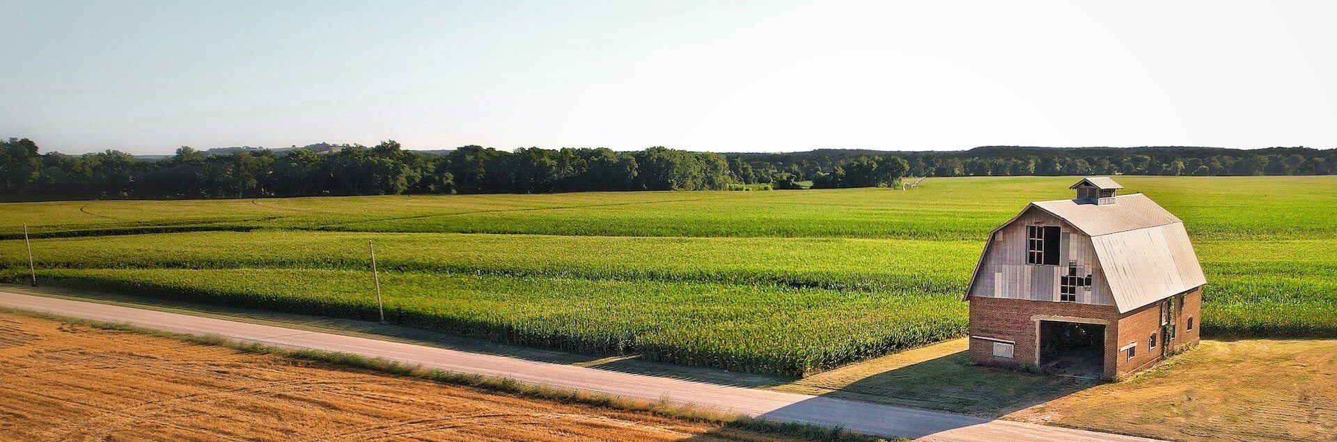 a large green field with trees in the background