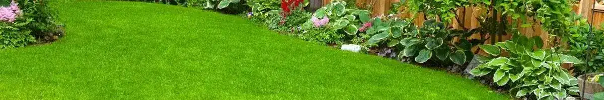 a lawn with flowers and plants
