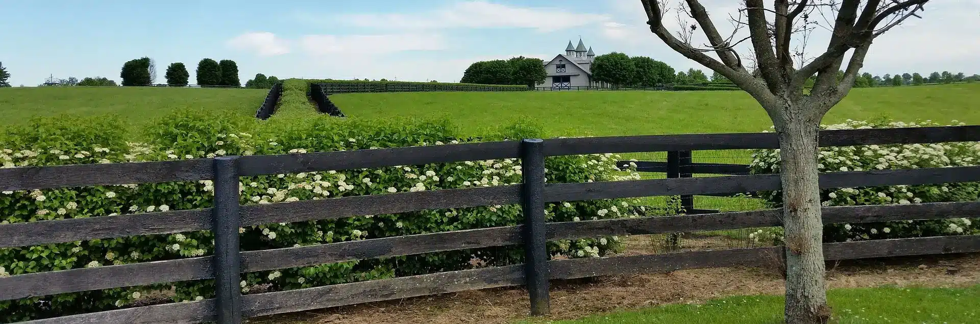 a fence and a field with a building in the background