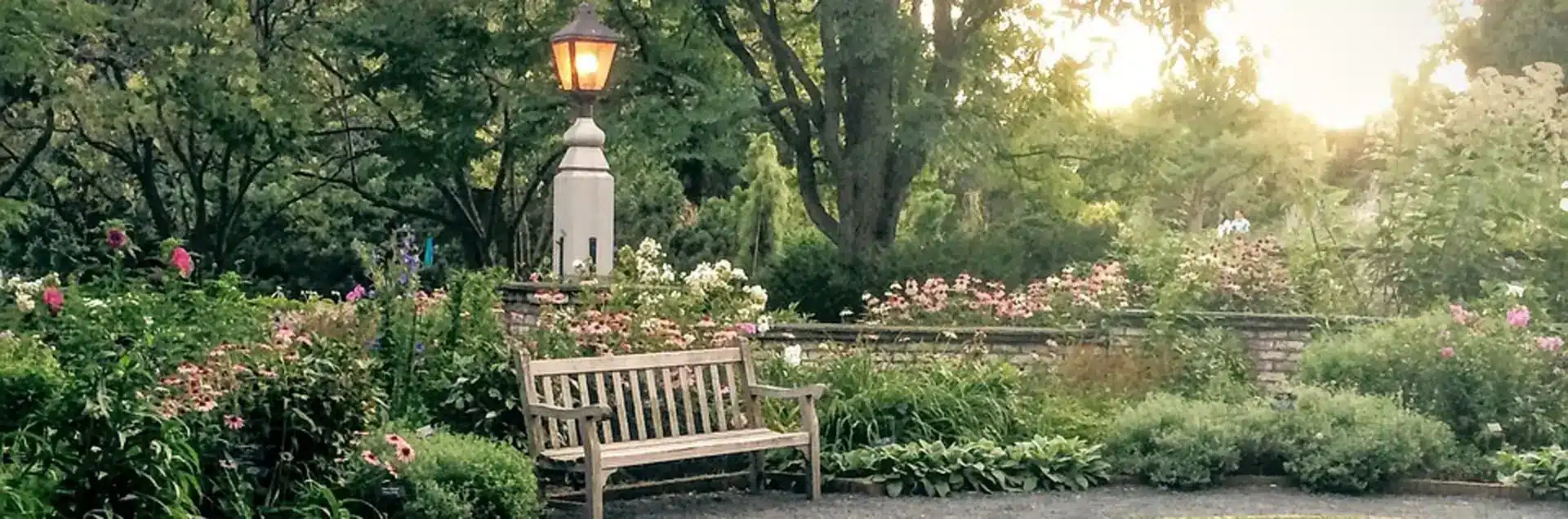 a bench in a park