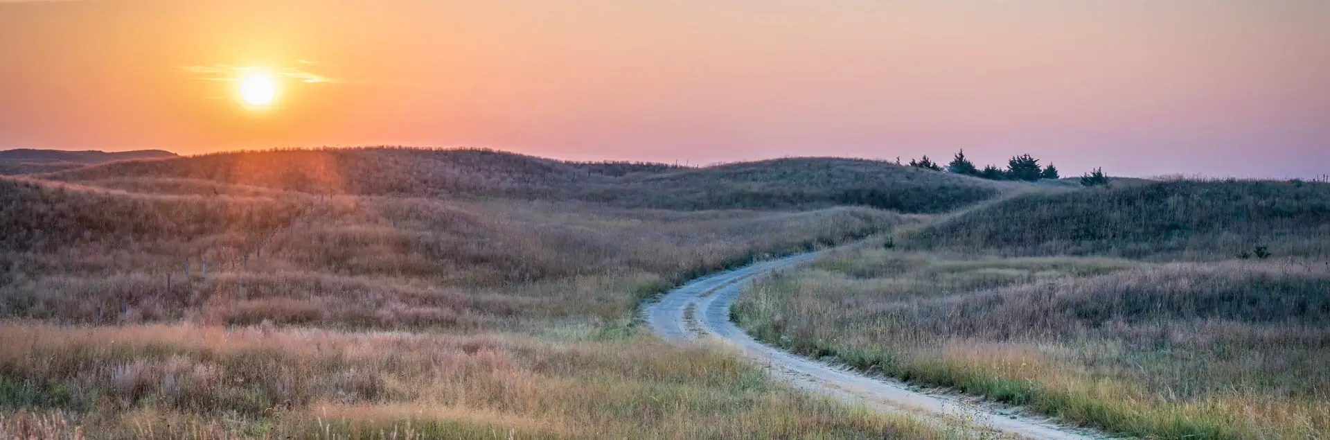 a dirt road through a field