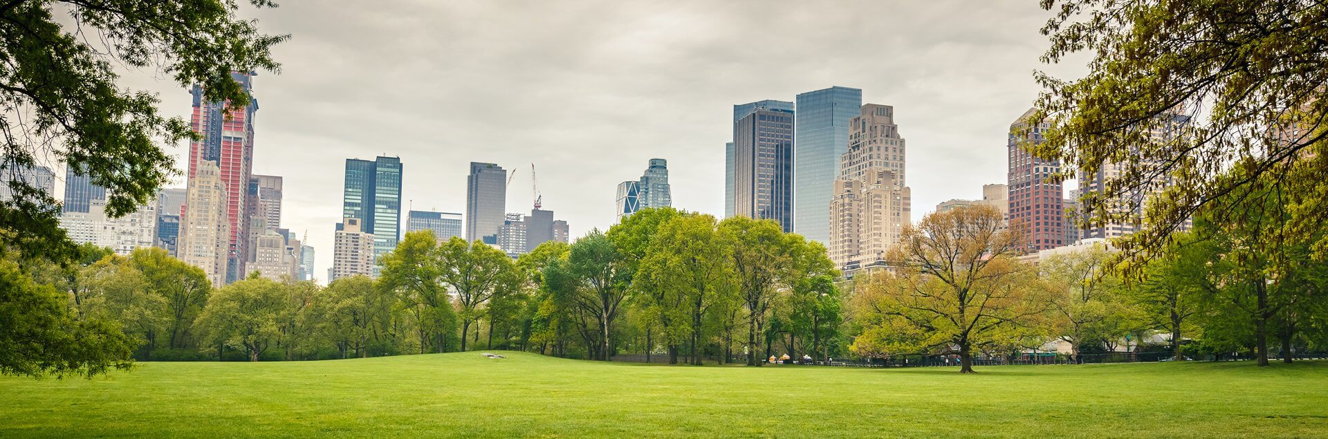 a park with trees and buildings in the background