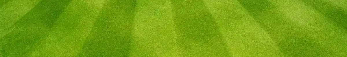 a green carpet with a white line