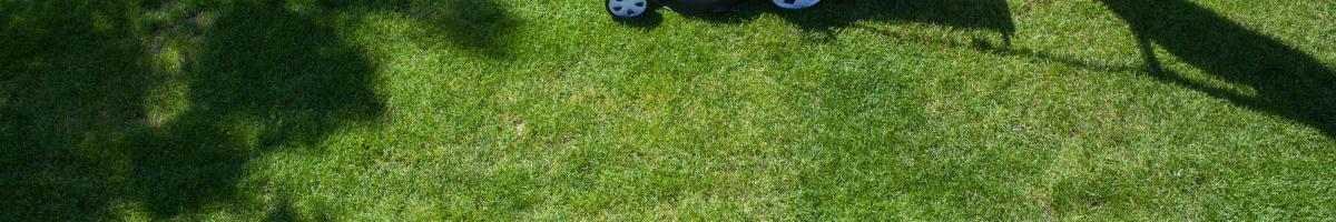 a lawn mower on a sunny day