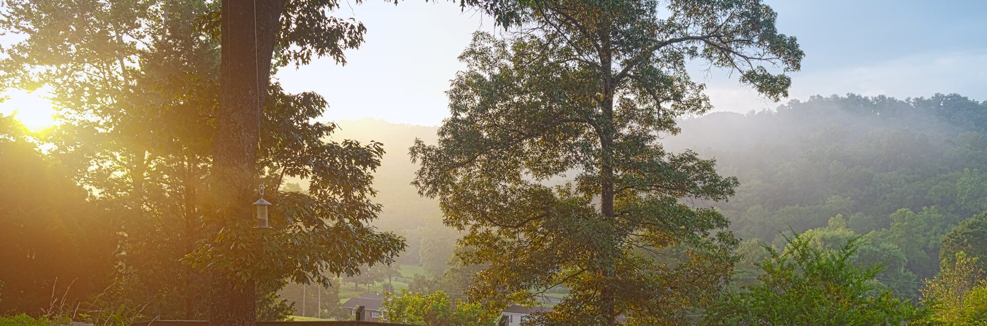 a view of a forest from a balcony