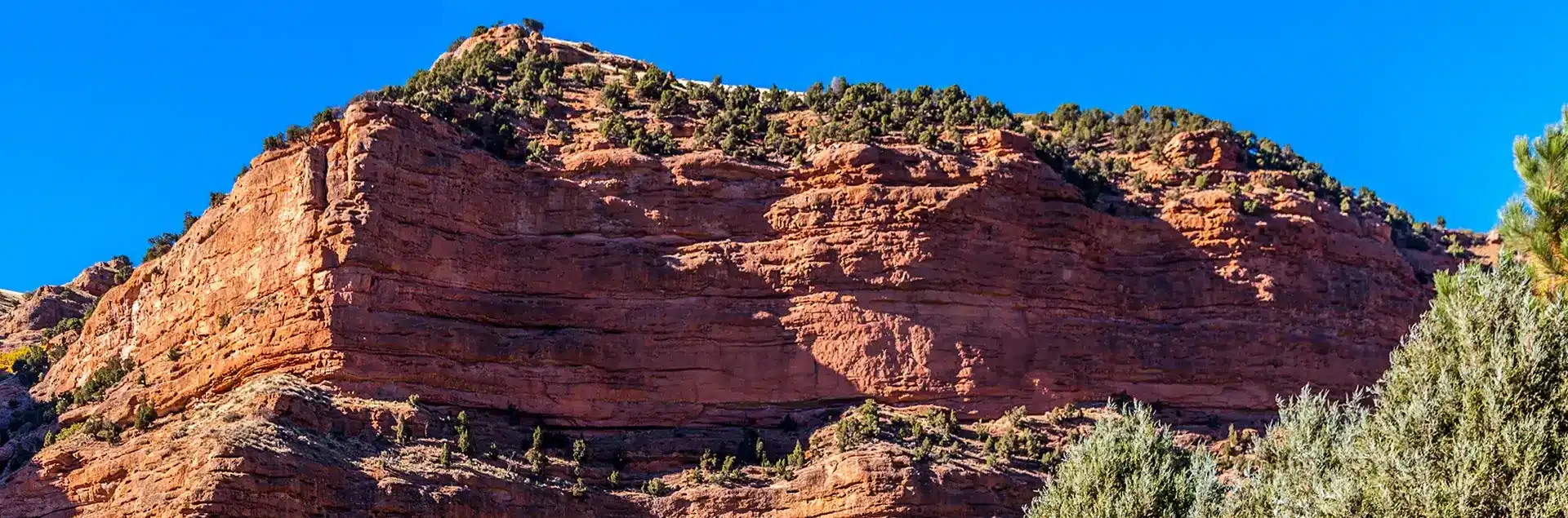 a red rock cliff with trees on it