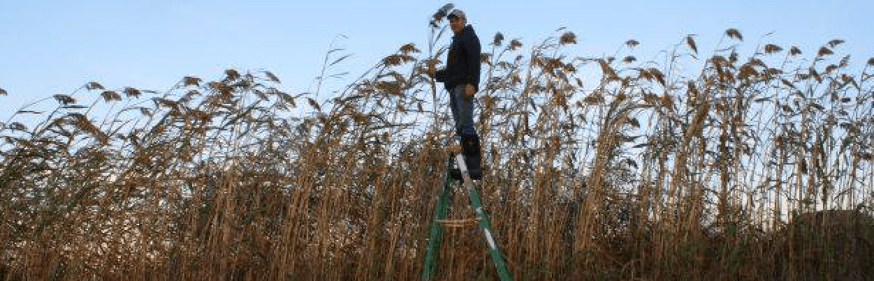 Superior Privacy Barrier