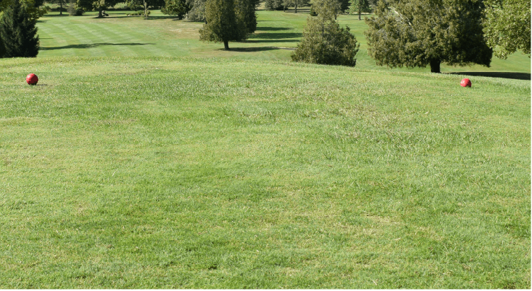 Planting Instructions