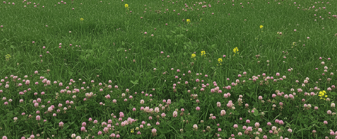 Thrives in Low-Light Conditions