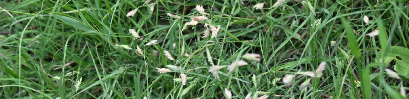 Water-Saving & Eco-Friendly