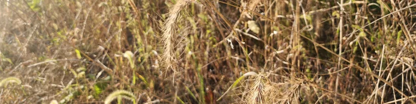 Enjoy The View, Not The Yardwork