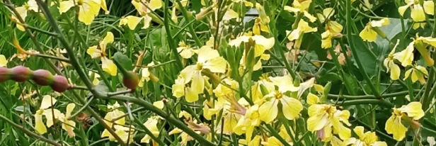 Turn Problem Beds Into Winners