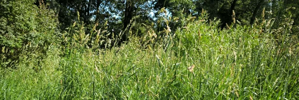 Fuel Your Hard-Working Herd Properly