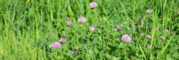 Get More Gain From Every Gallon