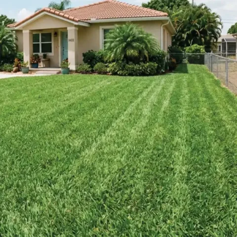 Florida Lawn Alternative Mix