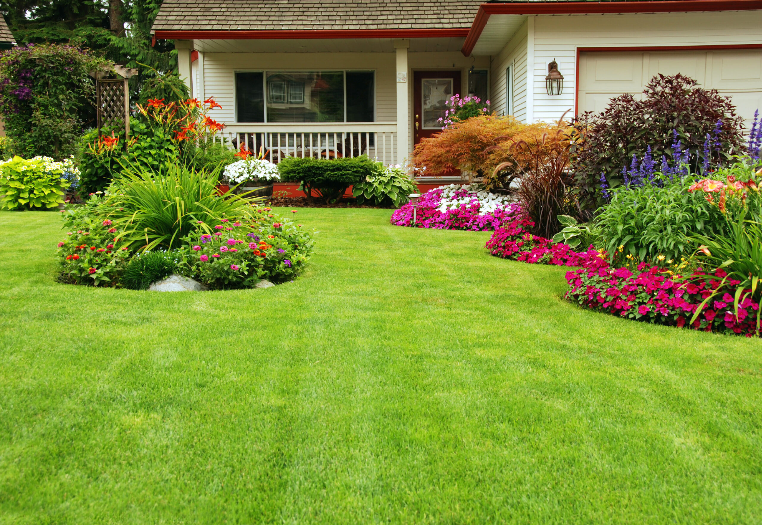 A Comprehensive Guide To Grass Seed Fertilizer for Your Lawn and Garden